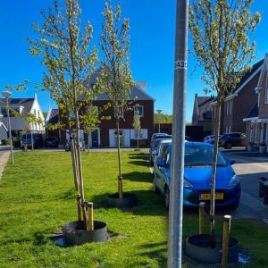 Gebruiker watergeefring